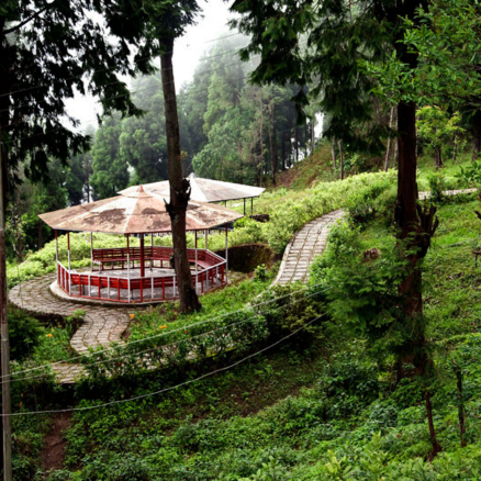 Delo Park 2